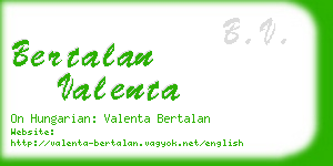 bertalan valenta business card